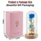 Eternal Preserved LED Rose with Butterfly in Glass Dome Décor